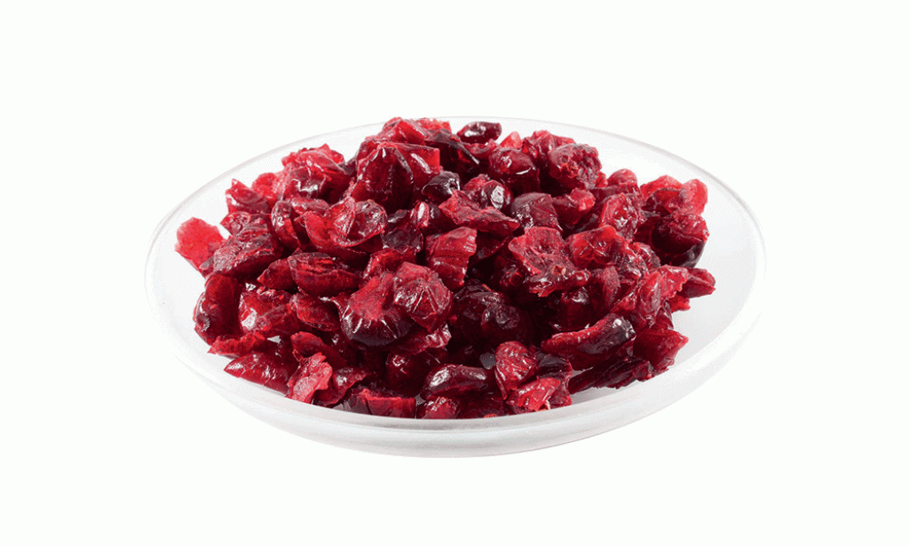 Ljekovitost brusnice i neki recepti