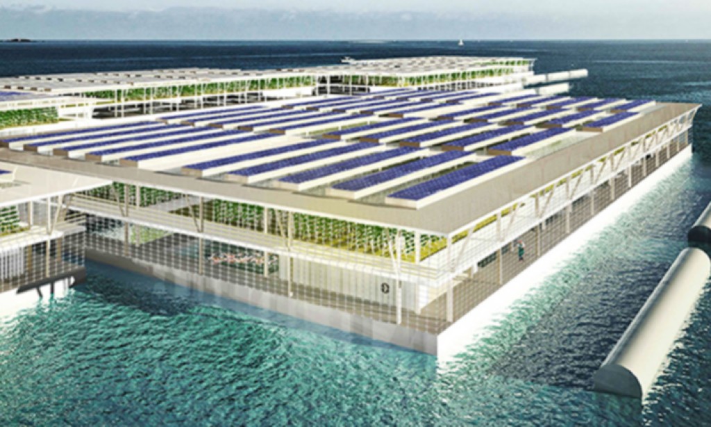 Solarne elektrane na vodi bi mogle pružiti svijetu dovoljno hrane