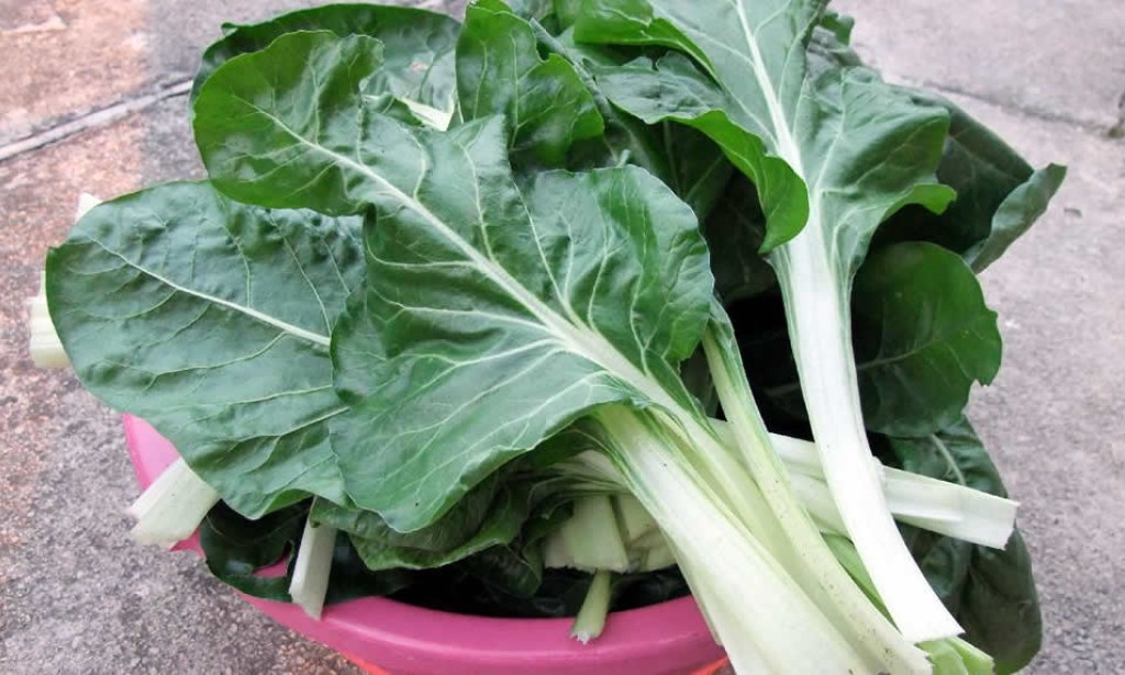 Blitva se koristi protiv svih vrsta upala