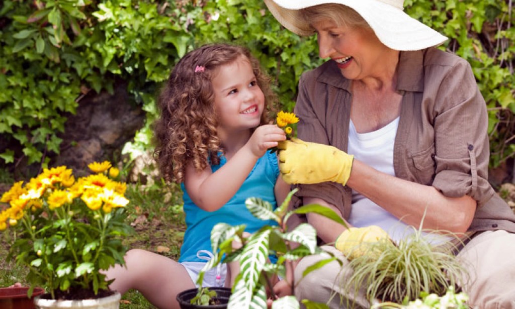 Posadite trajnice za kraj ljeta