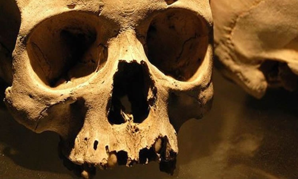 Šta se dešava sa ljudskim tijelom nakon smrti?