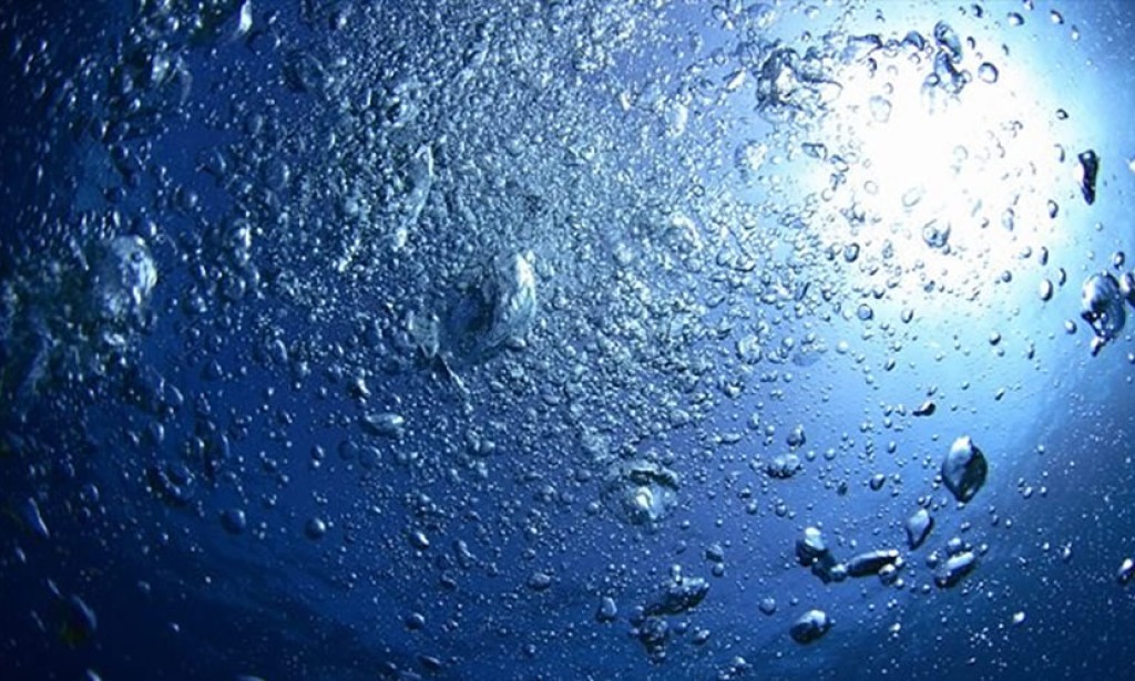 Evolucija života hiljadama godina na morskom dnu