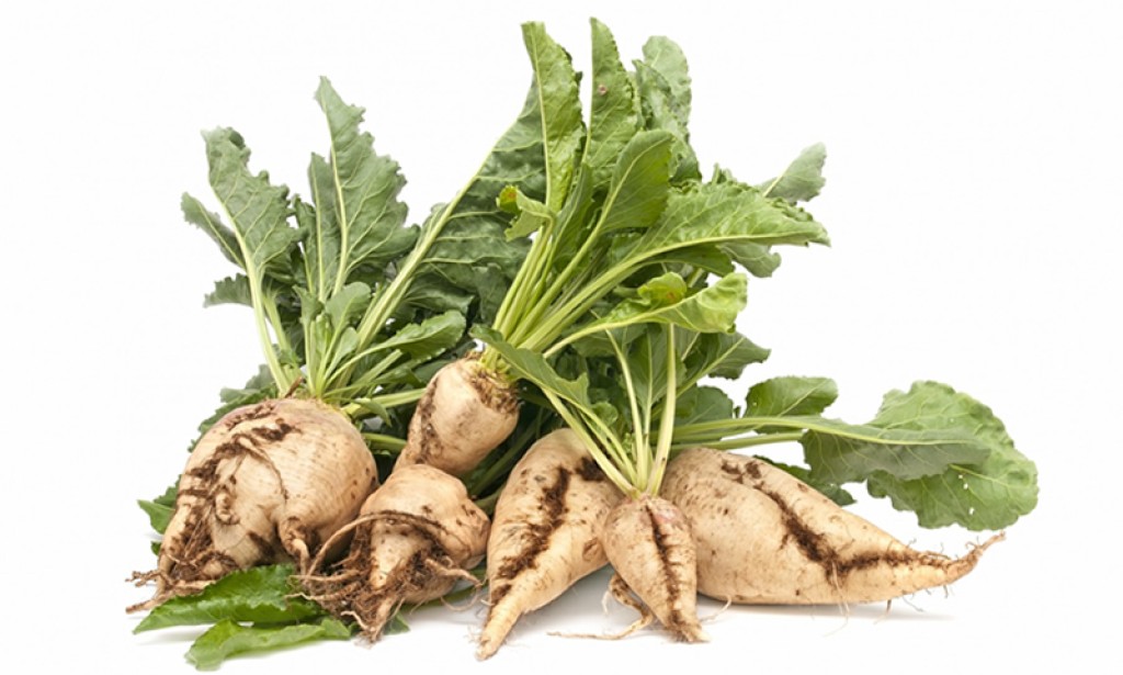 Unošenje šećera iz alternativnih izvora