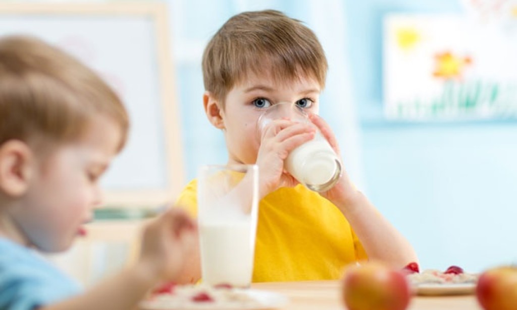 Šolja kravljeg mlijeka dnevno kao zdrava navika