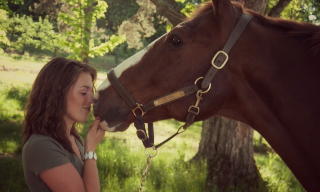 Imaju li konji sposobnost da prepoznaju ljudske emocije?