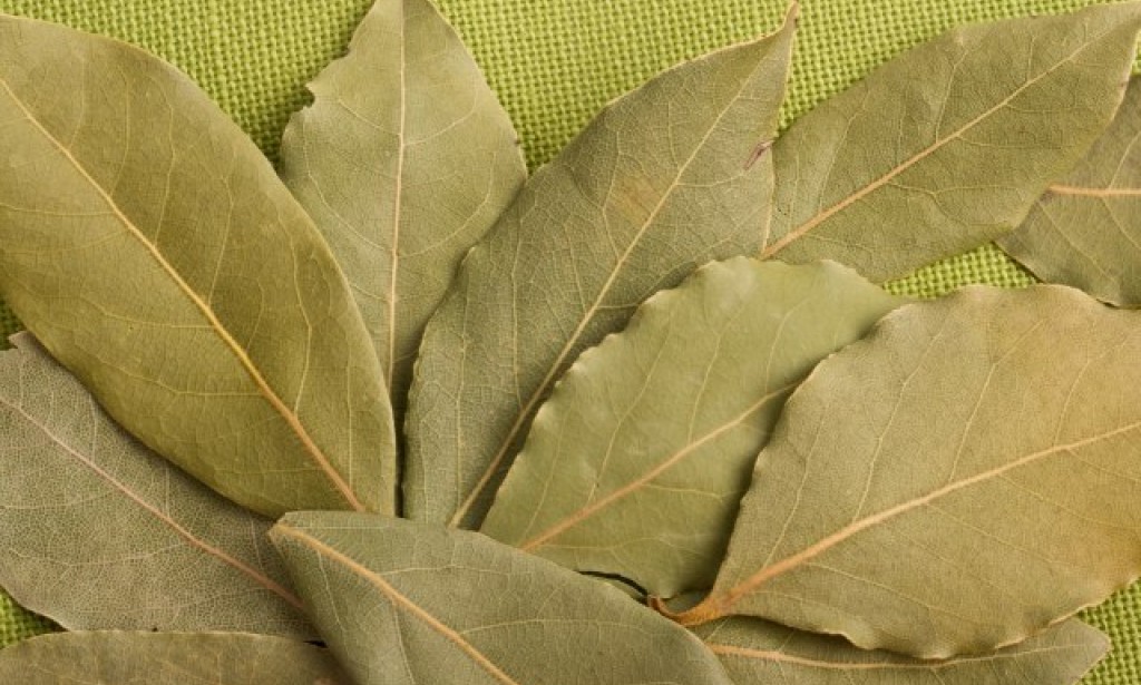 Lovorov list nije samo začinska biljka, evo šta sve radi vašem organizmu