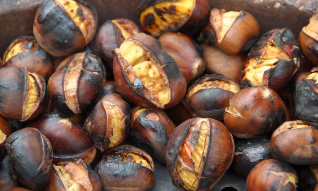 5 razloga zašto je dobro jesti kesten