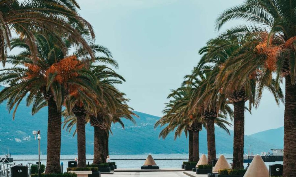 Kako je Porto Montenegro postao omiljena destinacija za luksuzni turizam