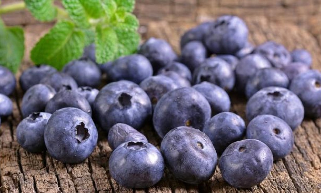 Šaka zdravlja: 9 razloga zašto treba jesti borovnice svaki dan
