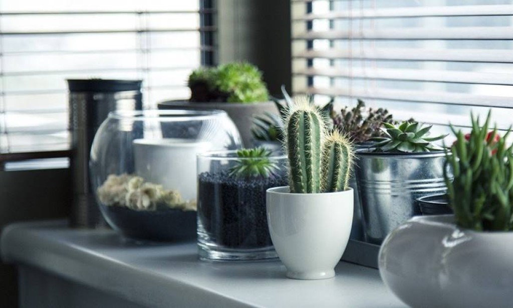 Biophilic dizajn - novi zeleni trend koji osvaja svet