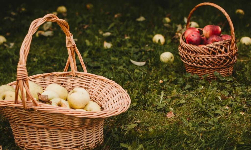 Zaboravljeni predmeti koji su se nekad stalno koristili