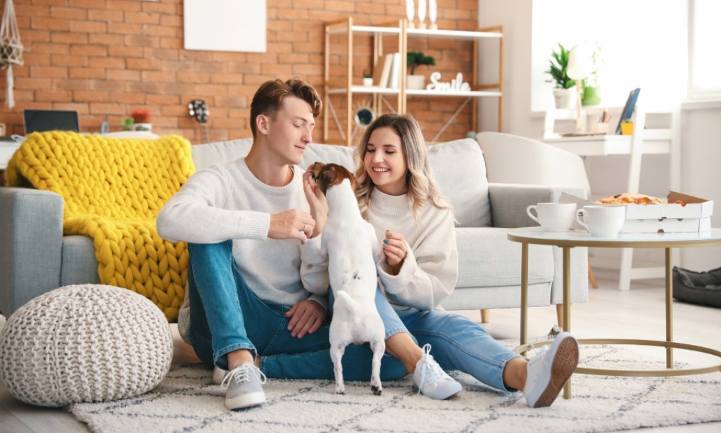 Planirate zajednički život? Odluke koje morate zajednički da donesete