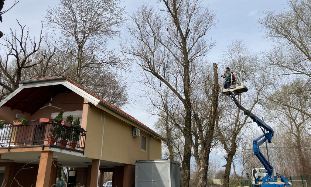 Zašto da angažujete profesionalce za sečenje stabala?