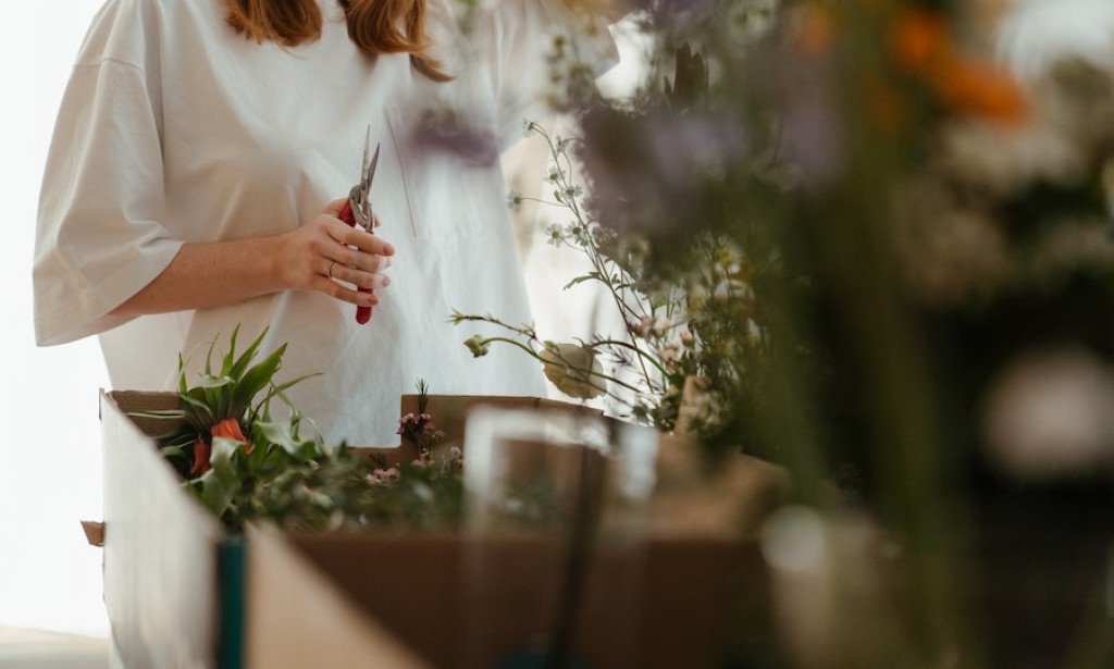 Tri stvari koje su vam neophodne za uređenje voćnjaka