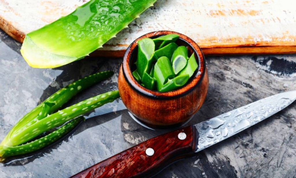 Kako poboljšati zdravlje koristeći proizvode na bazi Aloe Vere?