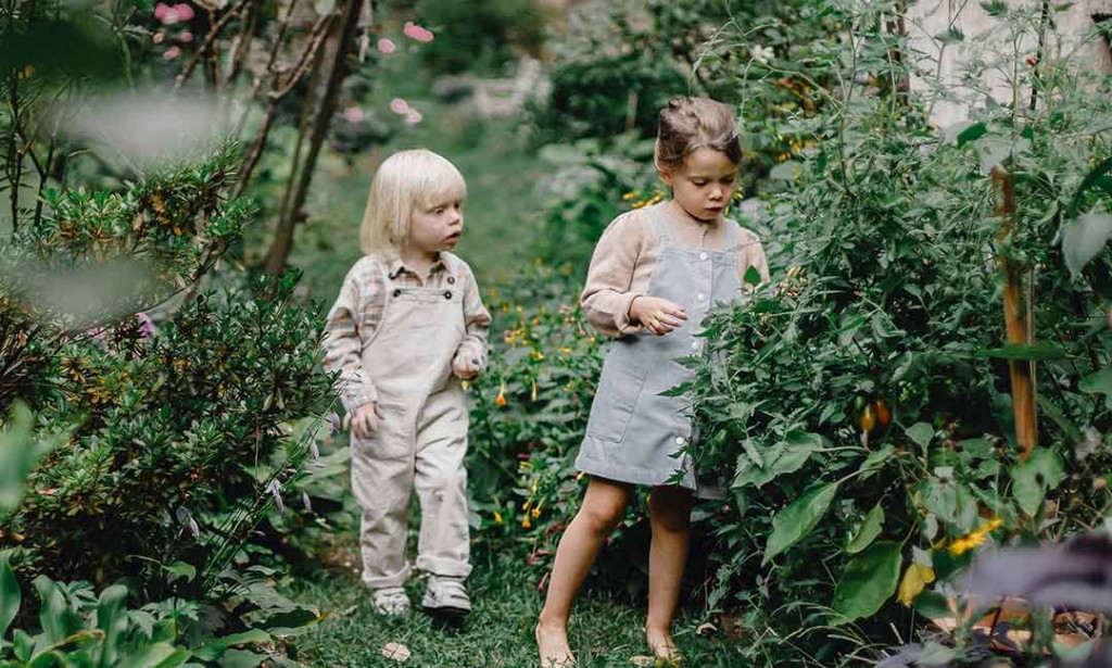 Zaštita od krpelja u dvorištu