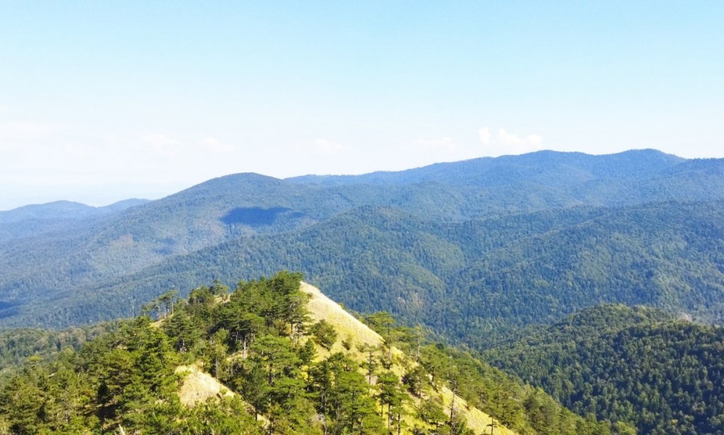 Očaravajuća Planina Konjuh: Planinarenje kroz grebene i otkrivanje prirodne raskoši