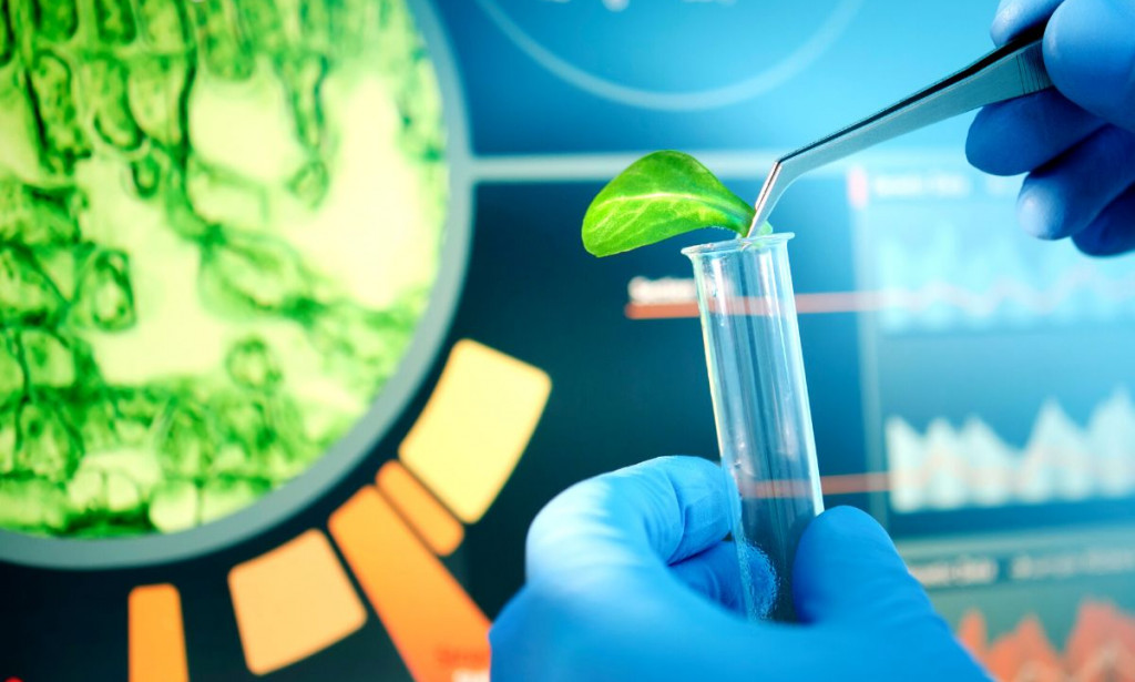 CRISPR: Moćne Škare za Genetički Inženjering