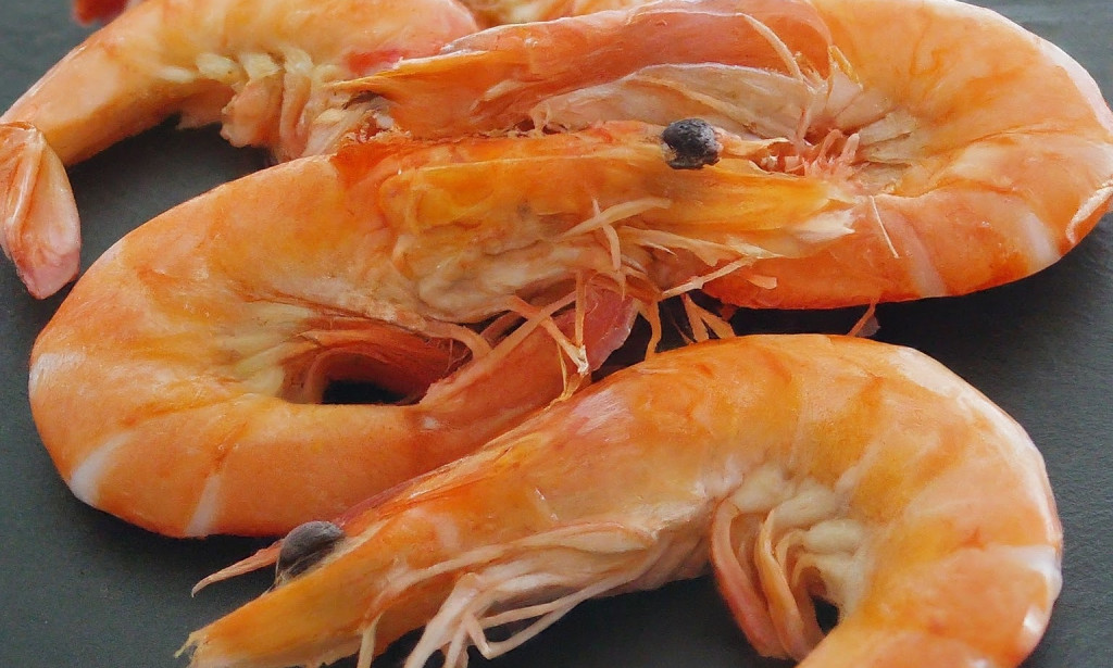 Zdravstvene koristi škampa: Izvor hranjivih tvari za jačanje imunološkog sistema