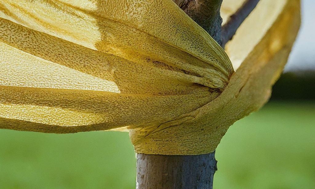 Agrotekstil: Inovacija u Poljoprivredi za Bolje Prinose i Zaštitu Biljaka