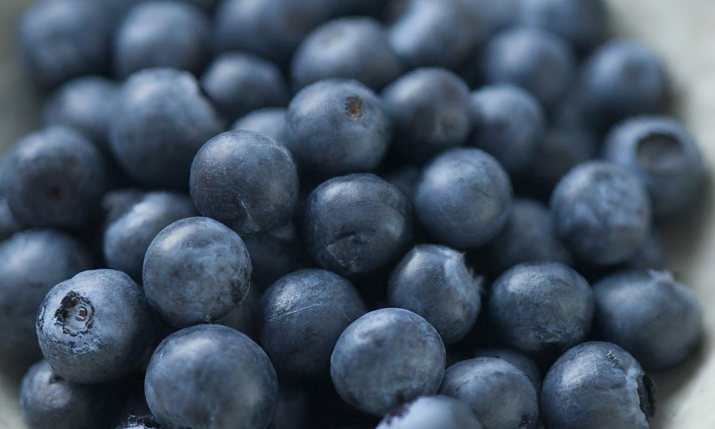 Uzgoj borovnica u Bosni: Prirodni lijek i prednosti za zdravlje