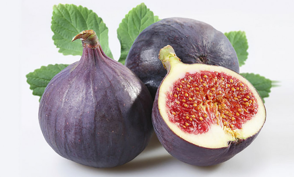 Znate li da smokvu oprašuje osa koju kasnije smokva razgradi? Da li to znači da jedemo i osu?