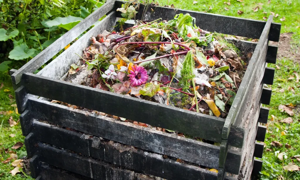 Zeleno zlato: Otkrijte tajnu vermikompostiranja i pretvorite otpad u superđubrivo!