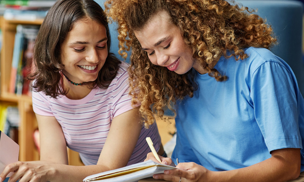 Nauka o učenju: Vodič za efikasnije i trajno usvajanje znanja