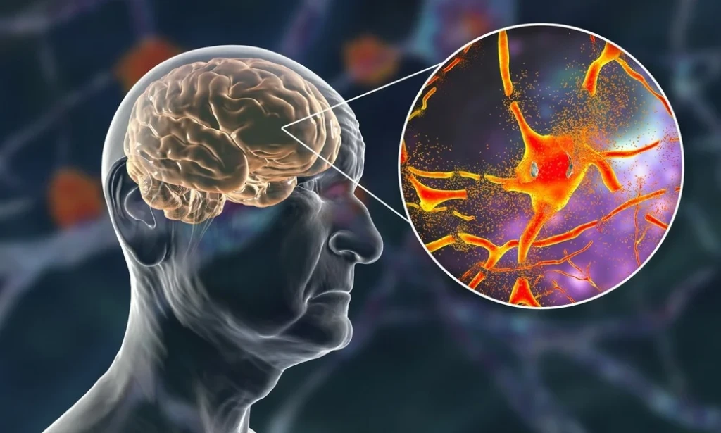 Kako očuvati mladost mozga: Zaštitite svoj san, sugerišu istraživanja