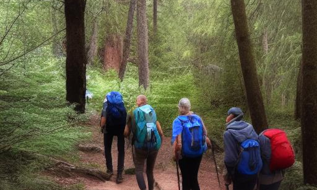 Planinarenje za Zdravlje: Koristi Kretanja u Prirodi