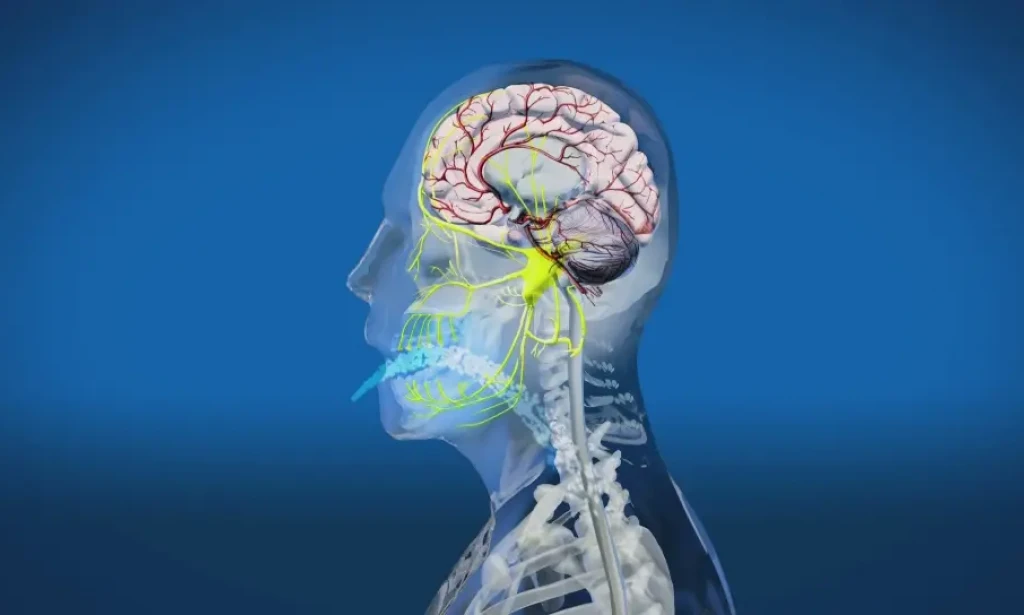 Smrzavanje Mozga: Zašto Hladno Piće Izaziva Oštar Bol u Glavi