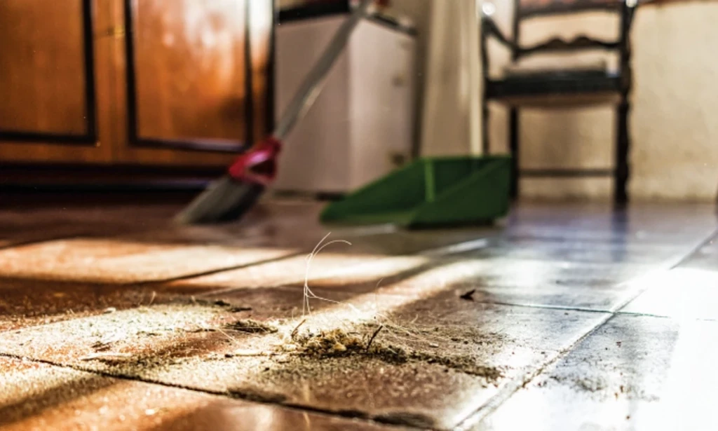 Misterija Kućne Prašine: Odakle Dolazi i Gdje Zapravo Nestaje Ta Siva Magla?