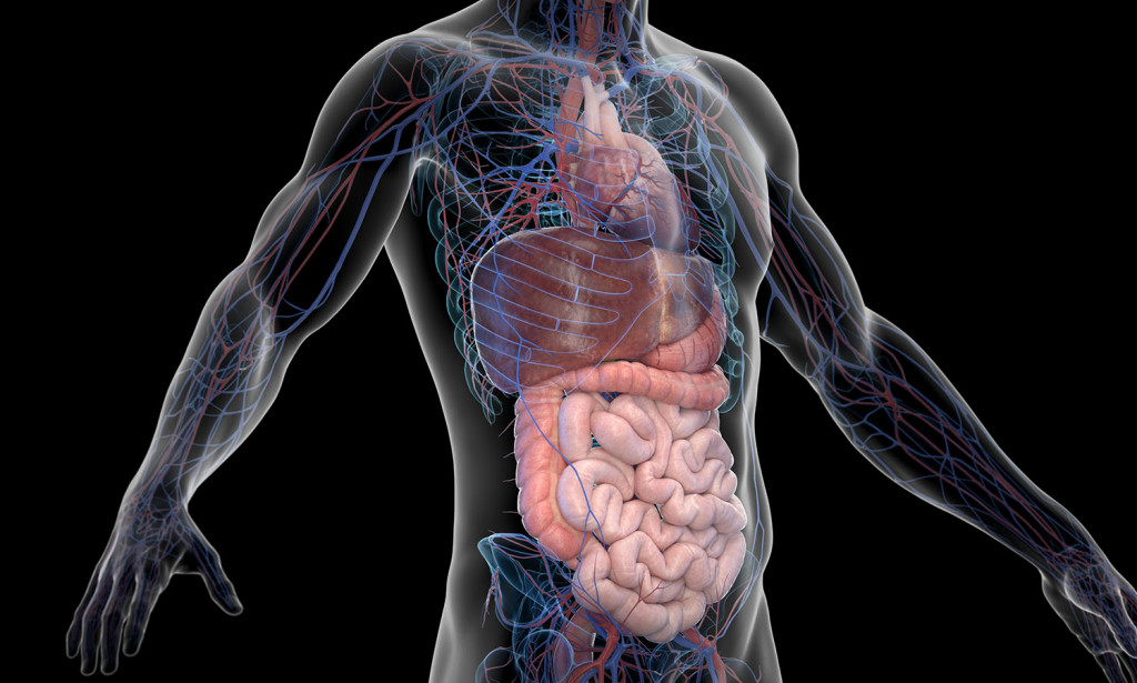 Najčudniji Element u Ljudskom Tijelu: Zagonetka Kobalta