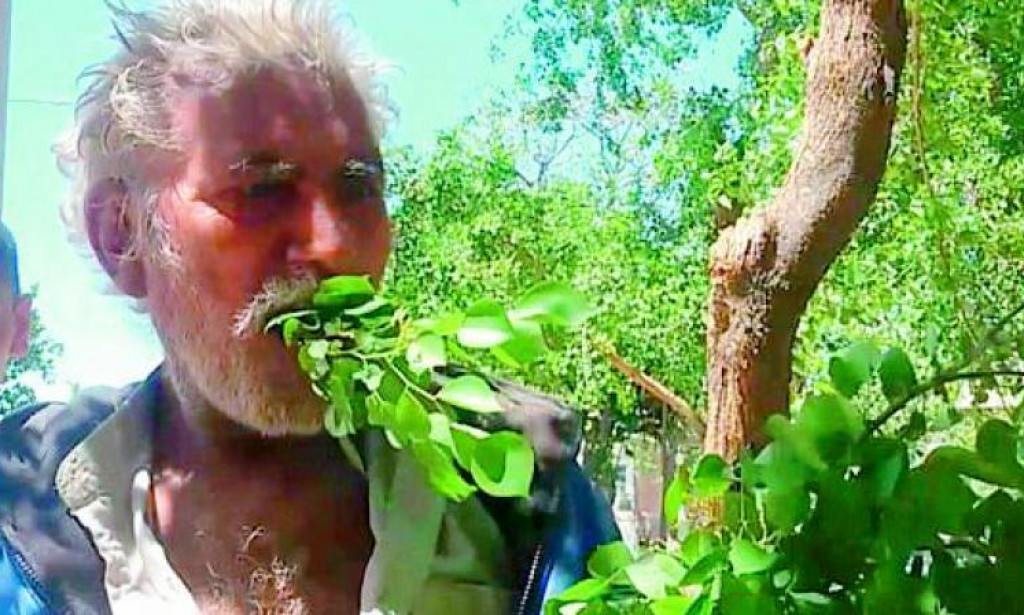 Škola Preživljavanja: Mogu li nas List Bukve i Drevne Vještine Spasiti iz Divljine?