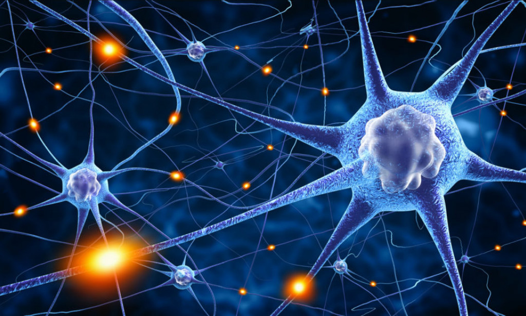 Hormonalno zdravlje žena: Kako biljke i voće regulišu ženski endokrini sistem