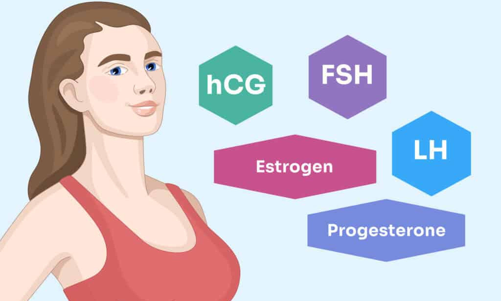 Sveobuhvatni vodič za hormonalnu ravnotežu: Uloga adaptogena, ishrane i detoksikacije jetre