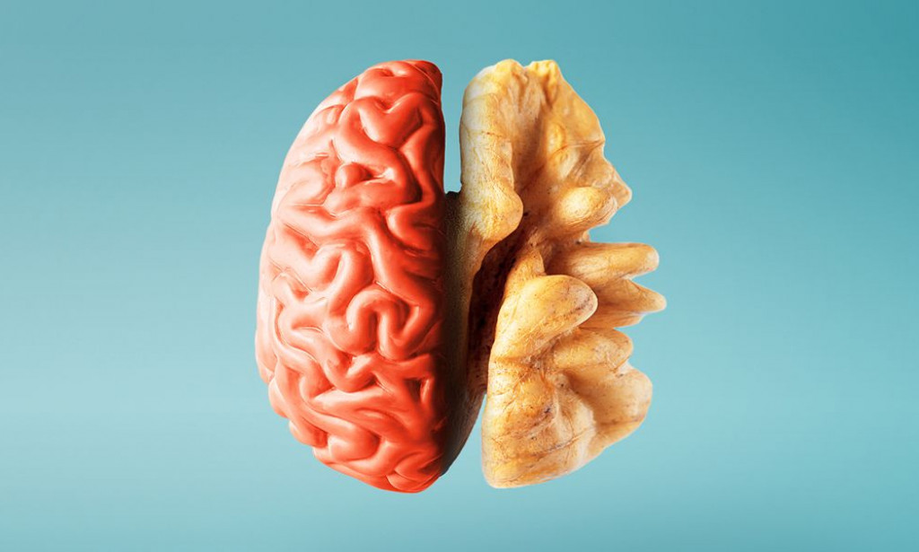 Orasi protiv Alchajmera: Kako specifični antioksidansi štite vaš mozak tokom starenja