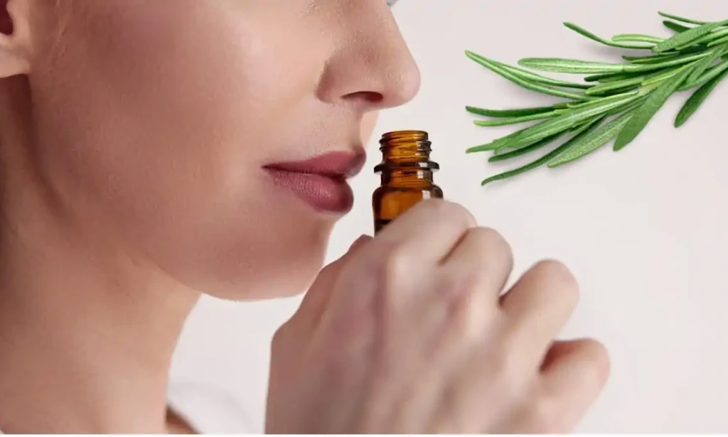 Skrivena hemija ruzmarina: Poboljšanje pamćenja i fokusa putem prirodnih mirisa